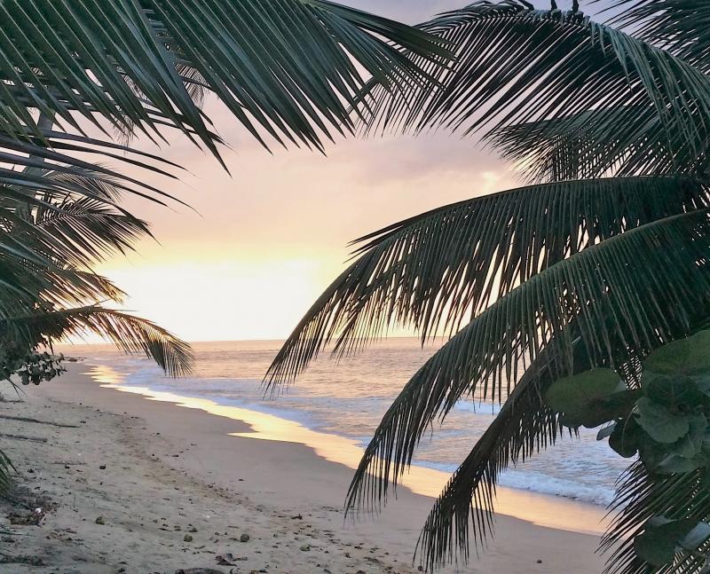 villa playa aguada private activities wedding puerto rico