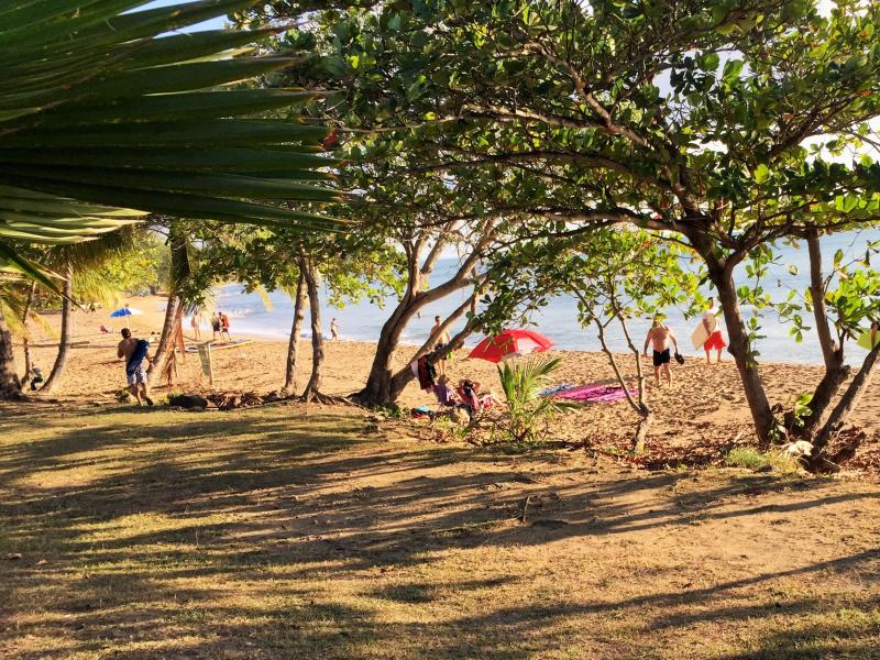rincon beach - rincon penthose condos puerto rico