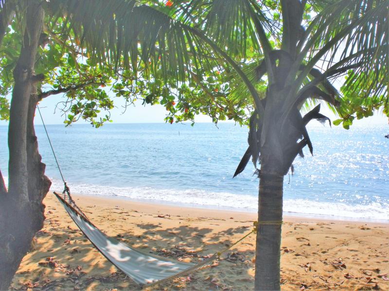 rincon beach vacation rentals pr, rincon penthouse condos pr