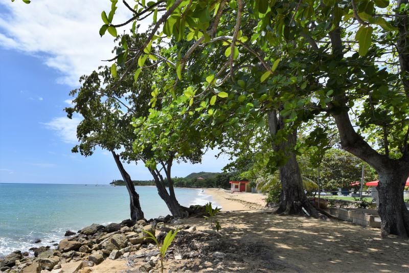 rincon beach house rental, beach condo rental, beach villa rental, apt rental pr